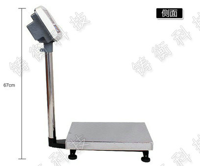 計數(shù)電子臺稱